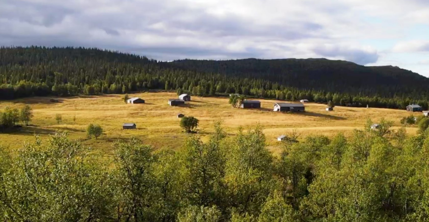 Östra Arådalens fäbodvall ligger vackert omgiven av skog vid fjällets fot