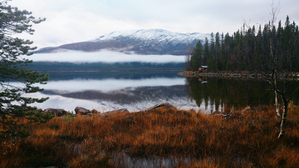 Senhöst vid fjällsjö med utsikt över ett snöpudrat fjäll.